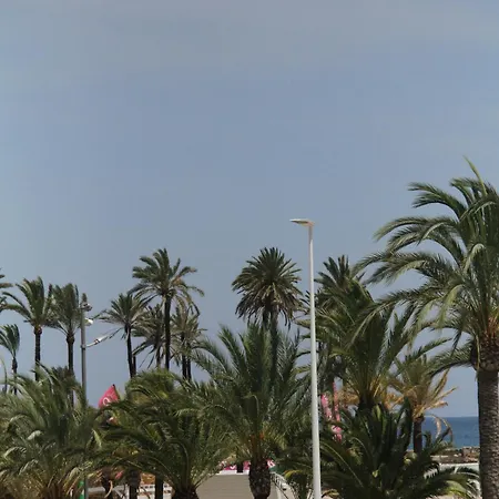 Apartment 100 Meter From The Arenal